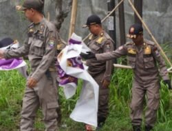 Satpol PP Tertibkan Alat Peraga Kampanye di Kabupaten Tangerang