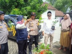 Penyerahan Bibit Tanaman dan Penyuluhan Ketahan Pangan di Desa Kemangsen Balongbendo