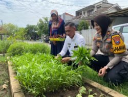 Polsek Sedati Siap Pekarangan Pangan Bergizi di Desa Buncitan