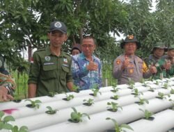 Polsek Krian dan Forkopimka Tinjau Pengembangan Peternakan Ikan dan Pertanian Hidroponik