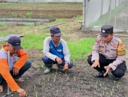 Bhabinkamtibmas Desa Bakung Temenggungan Pantau Pekarangan Pangan Bergizi