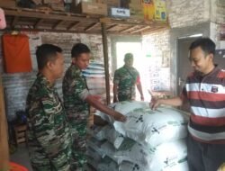 Babinsa Desa Kalangan Cek Ketersediaan Pupuk bersubsidi