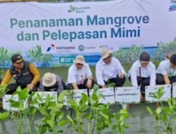 Pemkab Tangerang Tanam Mangrove dan Tebar Mimi di Budidaya Perairan Perkotaan Ketapang