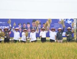 Tingkatkan Produksi Padi di Ngawi, Danrem Fokus Tingkatkan LTT