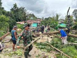 Aksi Peduli Lingkungan, Warga Kerja Bakti Tebang Pohon Demi Keamanan dan Keindahan