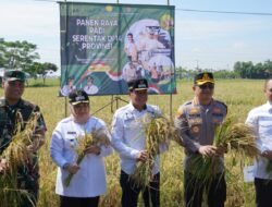 Dandim 0510/Tigaraksa Ikuti Vicon Panen Raya Bersama Presiden