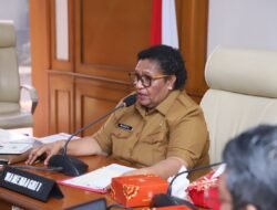 Wamendagri Ribka Imbau Pemprov Papua Sukseskan Pemungutan Suara Ulang Pilkada