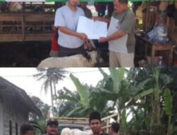 Tingkatkan Perekonomian Masyarakat, Kades Jambe Serahkan 30 Ekor Domba Untuk 3 Kelompok Penerima Manfaat