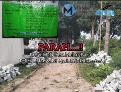 Proyek Paving Block di Desa Mekar Baru Diduga Minim Pengawasan Serta Upah Pekerja Tak Layak