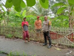 Dukung Ketahanan Pangan, Aipda Bambang Ajak Warga Desa Koper Manfaatkan Pekarangan