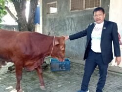 Jelang Hari Raya Idul Adha 1446 H/2025 M. H. Wawan Sumarwan SH, Salurkan Bantuan 8 Ekor Sapi Qurban