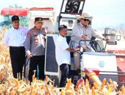 Presiden Prabowo Senang Panen Raya Jagung Inisiasi Polri Berhasil