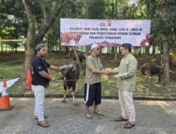 Polresta Tangerang Laksanakan Pemotongan Hewan Kurban, Wujud Ketakwaan dan Kepedulian Sosial