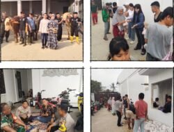 Pengusaha Muda Desa Tamiang Bagikan 1200 Daging Qurban