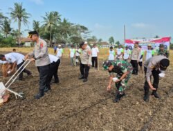 Penanaman Jagung Serentak di Kronjo, Bukti Sinergi TNI-Polri dan Petani