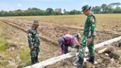 Satgas TMMD Sengkuyung Tahap IV Kodim Pemalang Bangun Talud di Desa Sukorejo untuk Tingkatkan Infrastruktur Desa