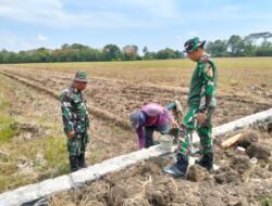Satgas TMMD Sengkuyung Tahap IV Kodim Pemalang Bangun Talud di Desa Sukorejo untuk Tingkatkan Infrastruktur Desa