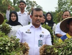 Rutan Tangerang Panen 50 Kg Kacang Tanah sebagai Wujud Dukungan Ketahanan Pangan