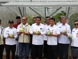 Bupati Tangerang Resmikan Greenhouse dan Panen Perdana Melon di Desa Sodong