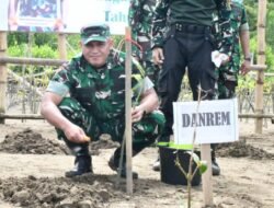 Korem 081/DSJ Tanam 10.800 Mangrove dan Tanaman Keras di Pacitan