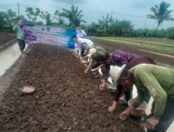 Kodim 0510/Trs Terus Lakukan Ketahanan Pangan