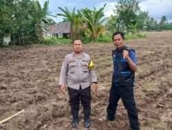 Bhabinkamtibmas Polsek Tigaraksa Cek Lahan Jagung di Desa Daru
