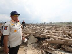 SK Menhut Landasi Pemanfaatan Kayu Hanyutan Jadi Terobosan Pemulihan Pascabencana