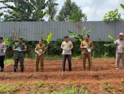 Polsek Tigaraksa Laksanakan Program Ketahanan Pangan Penanaman Jagung Hibrida 1 Desa 2 Hektar