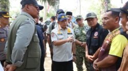 Satgas PRR Percepat Pemanfaatan Kayu Hanyutan untuk Rehabilitasi Pascabencana