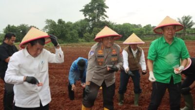 Bupati dan Kapolresta Tangerang Tanam Jagung Hibrida, Dorong Penguatan Ketahanan Pangan