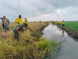 Babinsa Koramil Mauk, Ikuti Program PKTD Bersihkan Saluran Irigasi