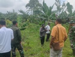 Danramil Watukumpul Lakukan Pengecekan Lahan KDKMP di Desa Medayu