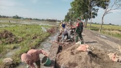 Satgas TMMD Sengkuyung Tahap II TA 2026 Kodim Pemalang Genjot Pembangunan Talud di Desa Klarean