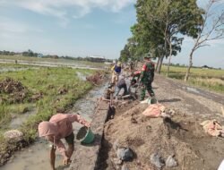 Satgas TMMD Sengkuyung Tahap II TA 2026 Kodim Pemalang Genjot Pembangunan Talud di Desa Klarean