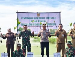 Kodim Pemalang Tanam 1.000 Pohon Mangrove Serentak, Perkuat Pembinaan Teritorial dan Pelestarian Lingkungan Pesisir