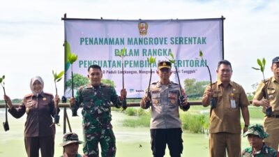 Kodim Pemalang Tanam 1.000 Pohon Mangrove Serentak, Perkuat Pembinaan Teritorial dan Pelestarian Lingkungan Pesisir
