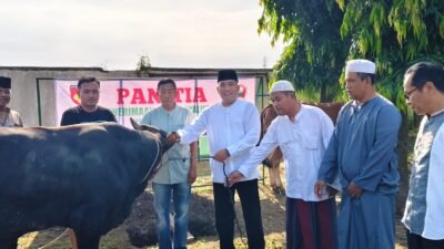Dandim Pemalang Serahkan Hewan Kurban kepada Panitia Kurban Kodim 0711/Pemalang
