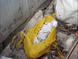 Mayat Bayi Terbungkus Plastik di Depan PT.KORINDO Gembong Balaraja