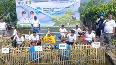 Aksi Hijau di Pesisir Ulujami: 3.000 Mangrove Ditanam Pemkab Pemalang Rayakan Hari Lingkungan Hidup 2026