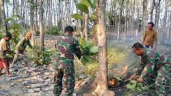 Babinsa Datang, Api Menghilang! 🔥 Lapor Cepat, Temu Cepat, Tindakan Cepat — Kebakaran Hutan Jati Berhasil Dipadamkan