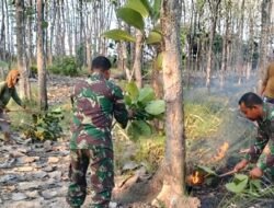 Babinsa Datang, Api Menghilang! 🔥 Lapor Cepat, Temu Cepat, Tindakan Cepat — Kebakaran Hutan Jati Berhasil Dipadamkan