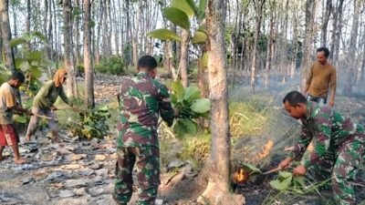 Babinsa Datang, Api Menghilang! 🔥 Lapor Cepat, Temu Cepat, Tindakan Cepat — Kebakaran Hutan Jati Berhasil Dipadamkan