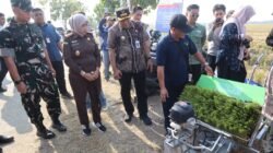 Dandim Pemalang Hadiri Panen Raya Padi Bersama Gubernur Jawa Tengah, Wujudkan Ketahanan Pangan Nasional